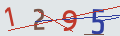 verifycode
